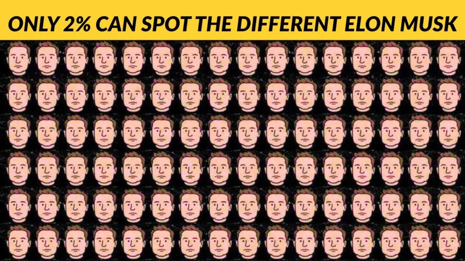 ELON MUSK